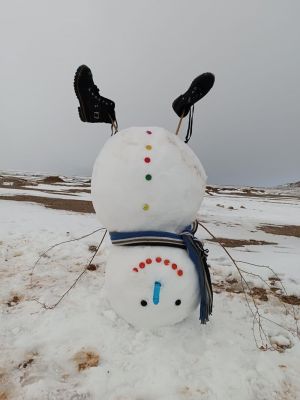 b_300_0_16777215_00_images_1402-12-17-1_DSC_3933.jpg